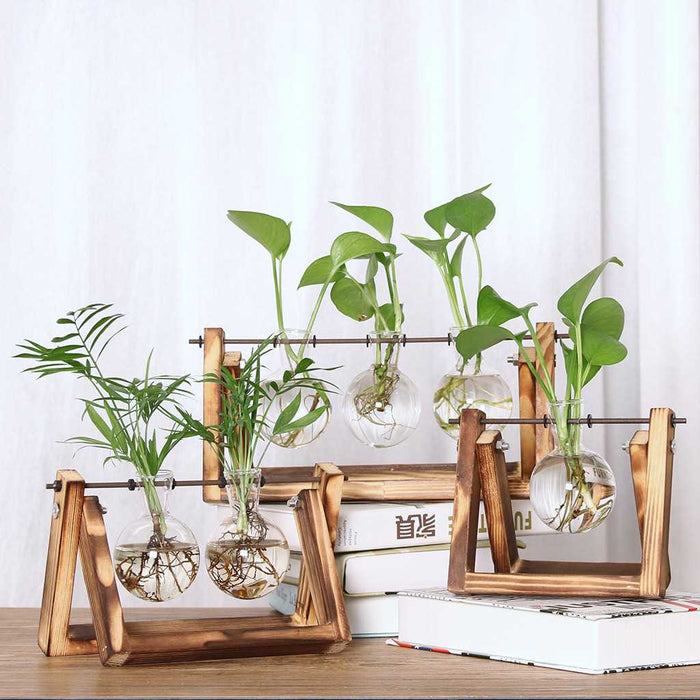 Desktop Hydroponic Vase with Retro Wooden Stand